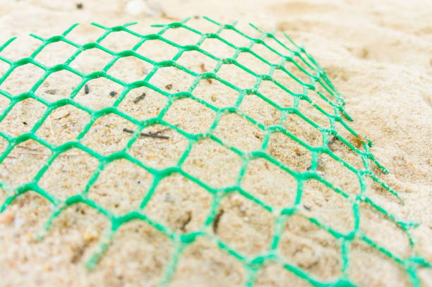 istock Scrap green grill on the beach 841931790