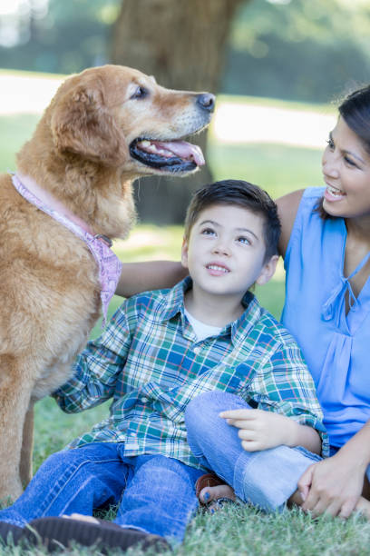 istock Mother and her young son play in park with dog 841934716