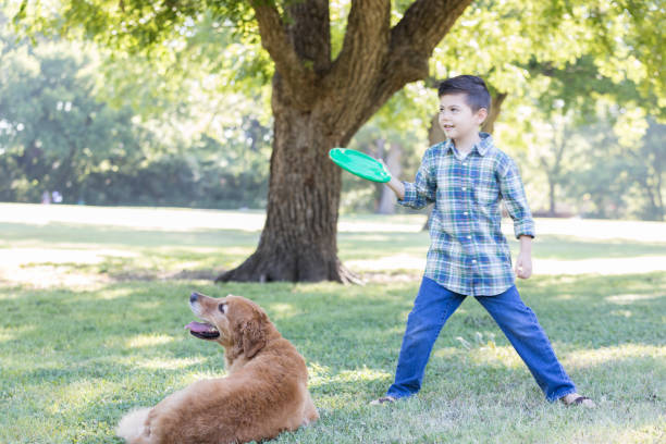 istock Boy prepares to toss plastic disc to dog 841934770