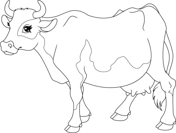 Top Cow Coloring Pages Stock Vectors, Illustrations & Clip Art - iStock