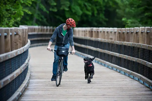 Photo of A man rides his bike in the forest with his dog on a wooden pedestrian bridge.