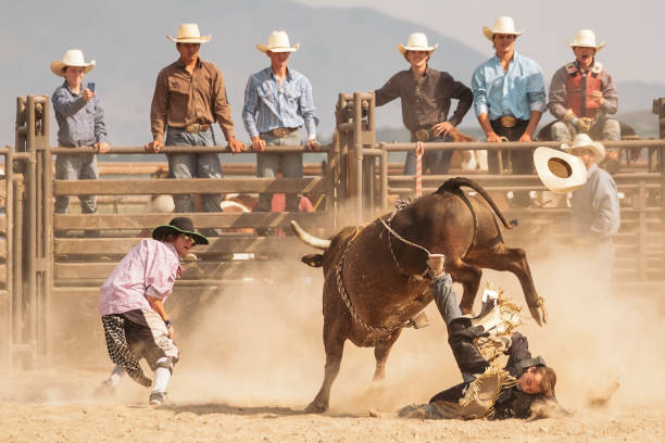 ユタ州のカウボーイ ライフ スタイル - rodeo clown ストックフォトと画像