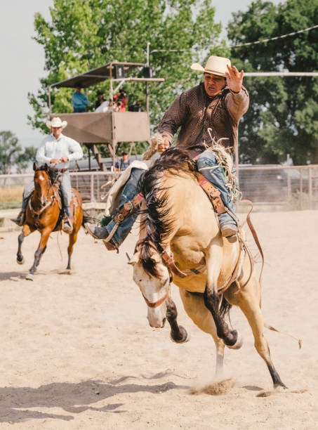 istock Cowboy Lifestyle in Utah 841948356
