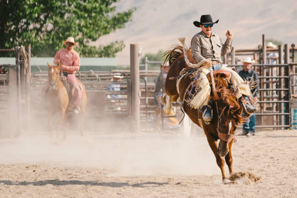 istock Cowboy Lifestyle in Utah 841948360
