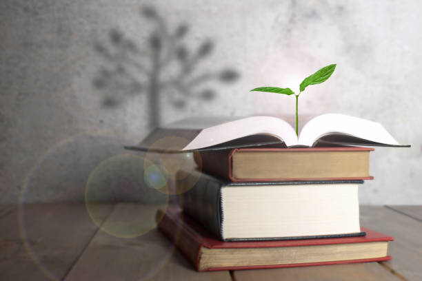 istock Tree shadow from new seedling in pile of books 841961992