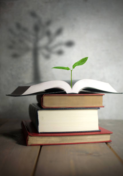 istock Tree shadow from new seedling in pile of books 841962310