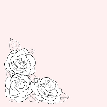 Simple black and white vector illustration of three rose flowers on a background of pastel colors. Greeting card with place for text.