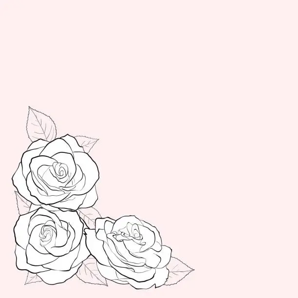 Vector illustration of Simple black and white vector illustration of three rose flowers on a background of pastel colors. Greeting card with place for text.