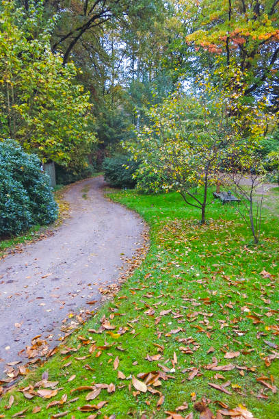 istock Autumn Impression from the Saxony forest, near Hamburg. Germany 841974600