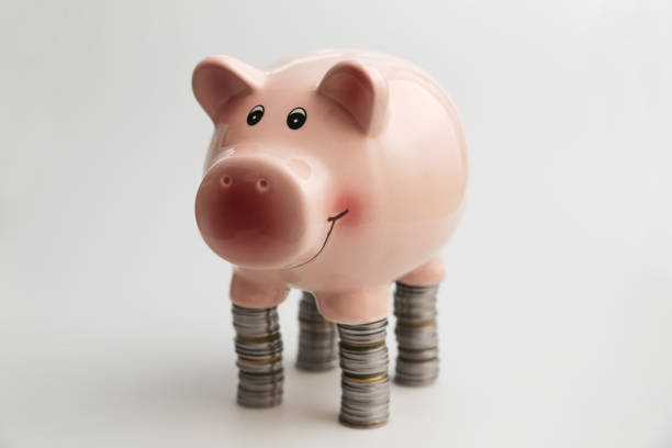istock Pig piggy bank and coins, 841978468