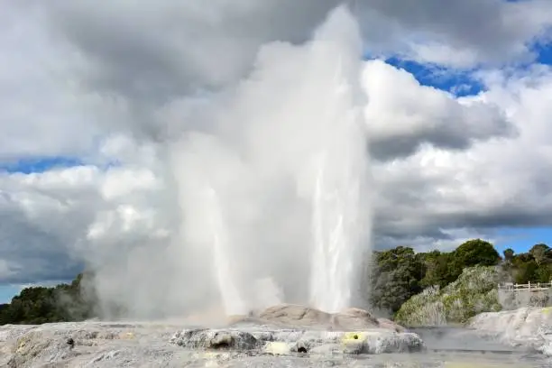 Photo of Pohutu geyser in Te Puia therrmal reserve in Rotorua, New Zealand.