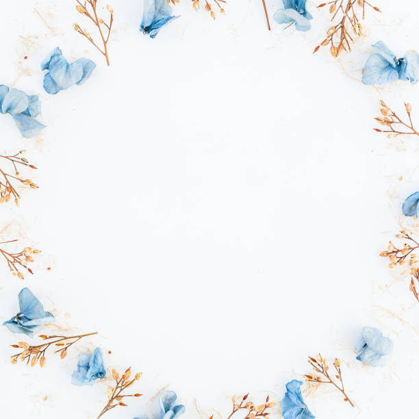 istock Frame of blue flowers isolated on background. Flat lay. Top view. 841994178