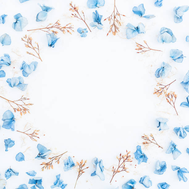 istock Frame of blue flowers isolated on background. Flat lay. Top view. 841994202