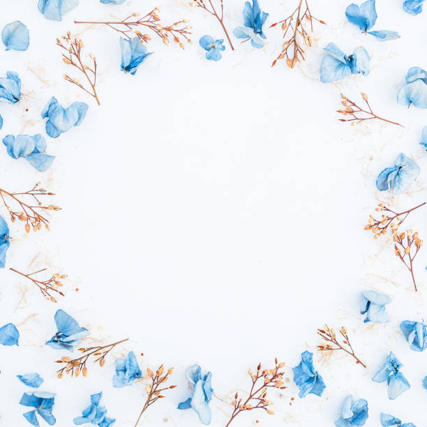istock Frame of blue flowers isolated on background. Flat lay. Top view. 841994208