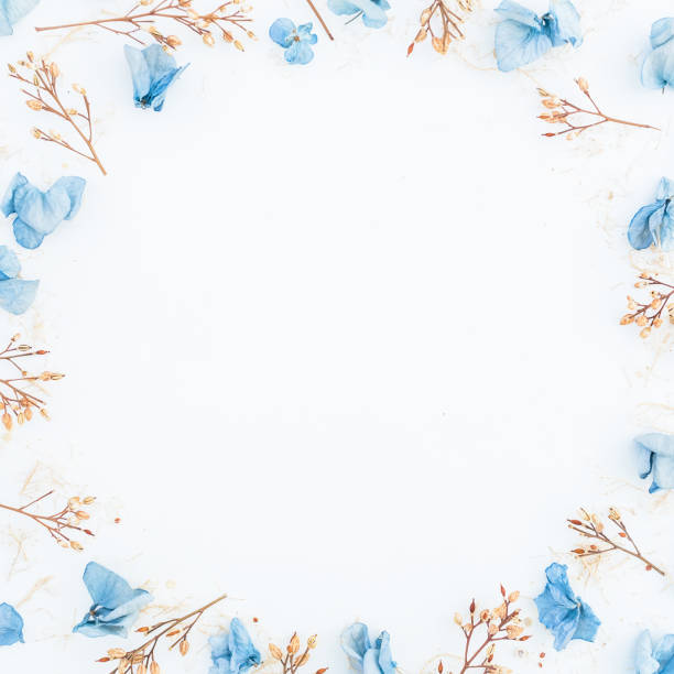 istock Frame of blue flowers isolated on background. Flat lay. Top view. 841994266