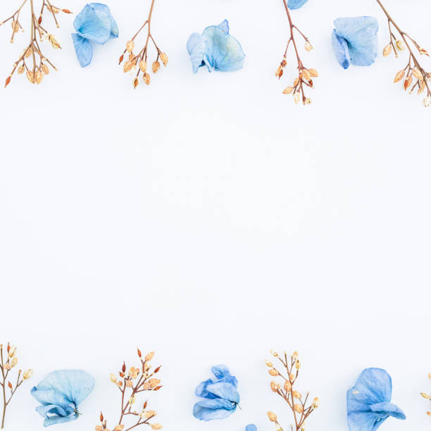 istock Frame of blue flowers isolated on background. Flat lay. Top view. 841994350