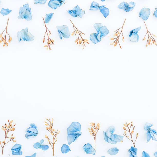 istock Frame of blue flowers isolated on background. Flat lay. Top view. 841994366