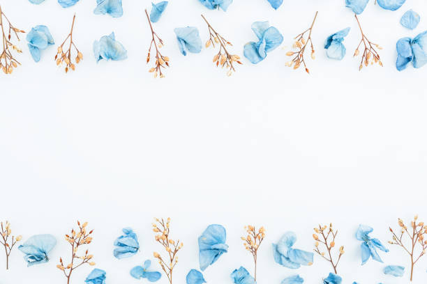 istock Frame of blue flowers isolated on background. Flat lay. Top view. 841994400