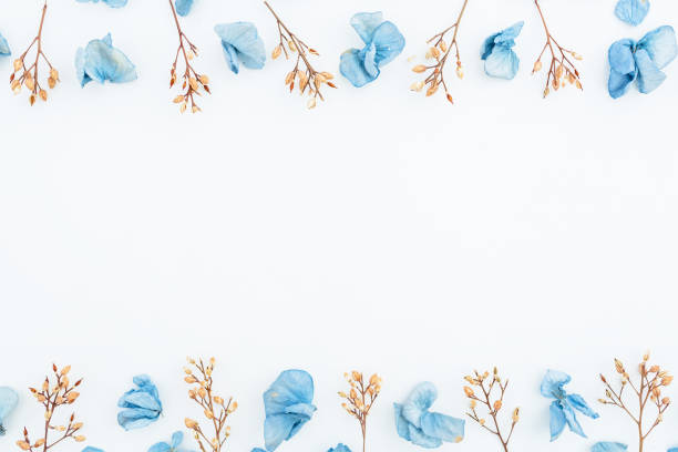 istock Frame of blue flowers isolated on background. Flat lay. Top view. 841994444