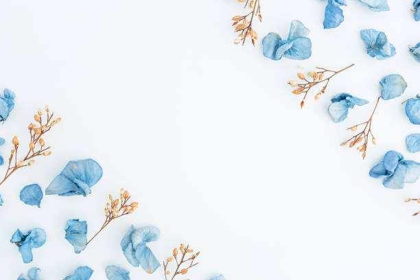 istock Frame of blue flowers isolated on background. Flat lay. Top view. 841994498