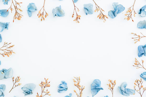 istock Frame of blue flowers isolated on background. Flat lay. Top view. 841994542