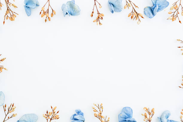 istock Frame of blue flowers isolated on background. Flat lay. Top view. 841994544