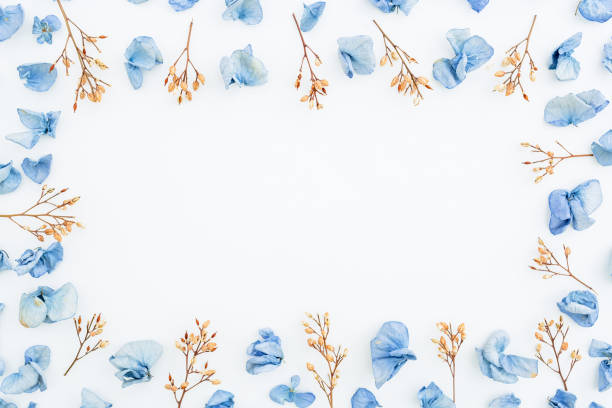 istock Frame of blue flowers isolated on background. Flat lay. Top view. 841994588