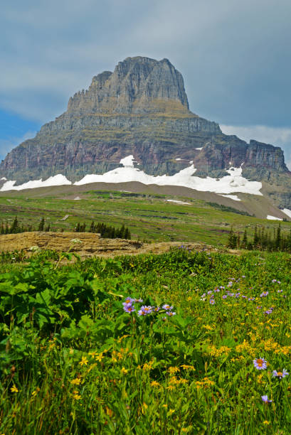 istock Vertical-Glaciers lie around a mountain peak surrounded with wildflowers. 842001648