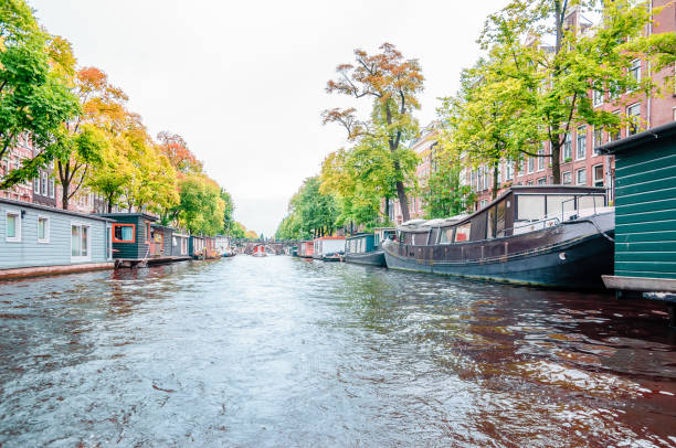 istock Canal and house boats in Amsterdam 842004976