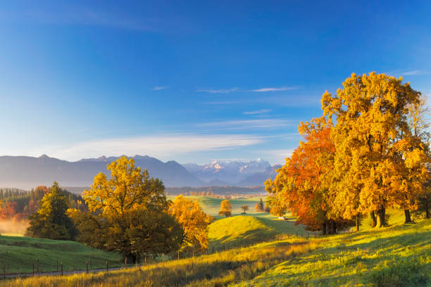 sentiero en veranillo con zugspitze en fondo - panorama xxl - bavaria wetterstein mountains nature european alps fotografías e imágenes de stock