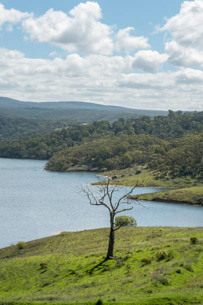 istock Beautiful view near lake Lyell Lithgow 842008134