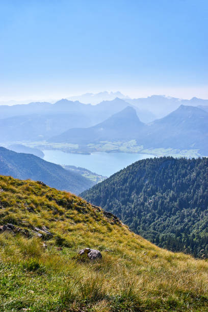 istock Vertical shot of austrian Alps landscape 842012242