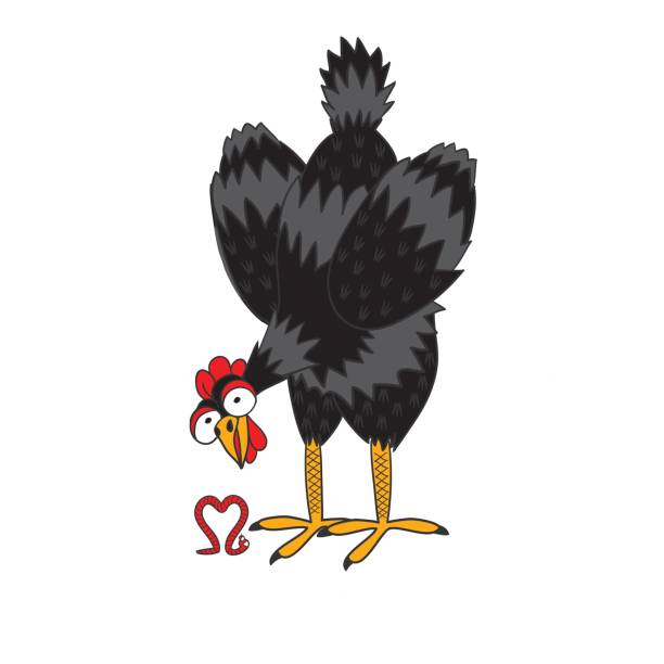 Tandoori Chicken Illustrations, Royalty-Free Vector Graphics & Clip Art -  iStock