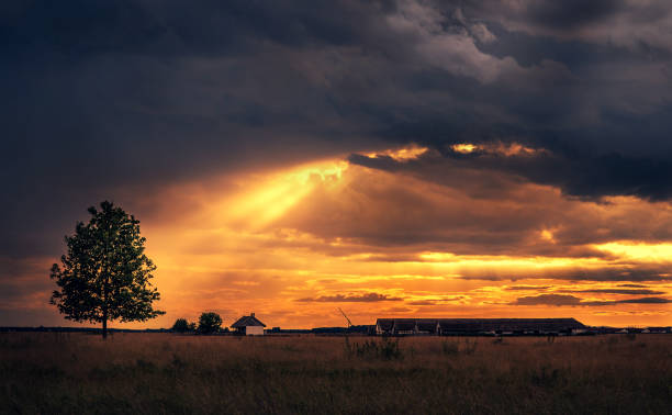 istock Beautiful rural scene after the rain 842014568