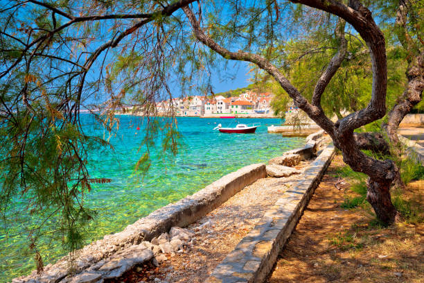 türkis strand von prvic insel und stadt von prvic sepurine ansicht, sibenik archipel von dalmatien, kroatien - europe pine tree sea adriatic sea stock-fotos und bilder