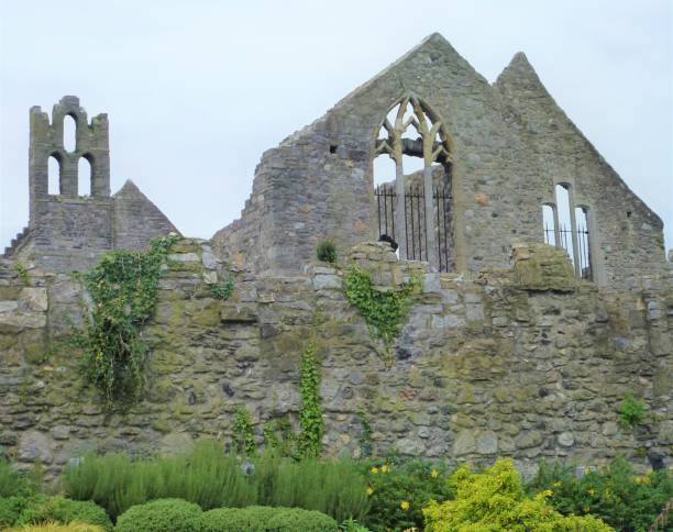 istock Ruin of old house in Howth 842016132