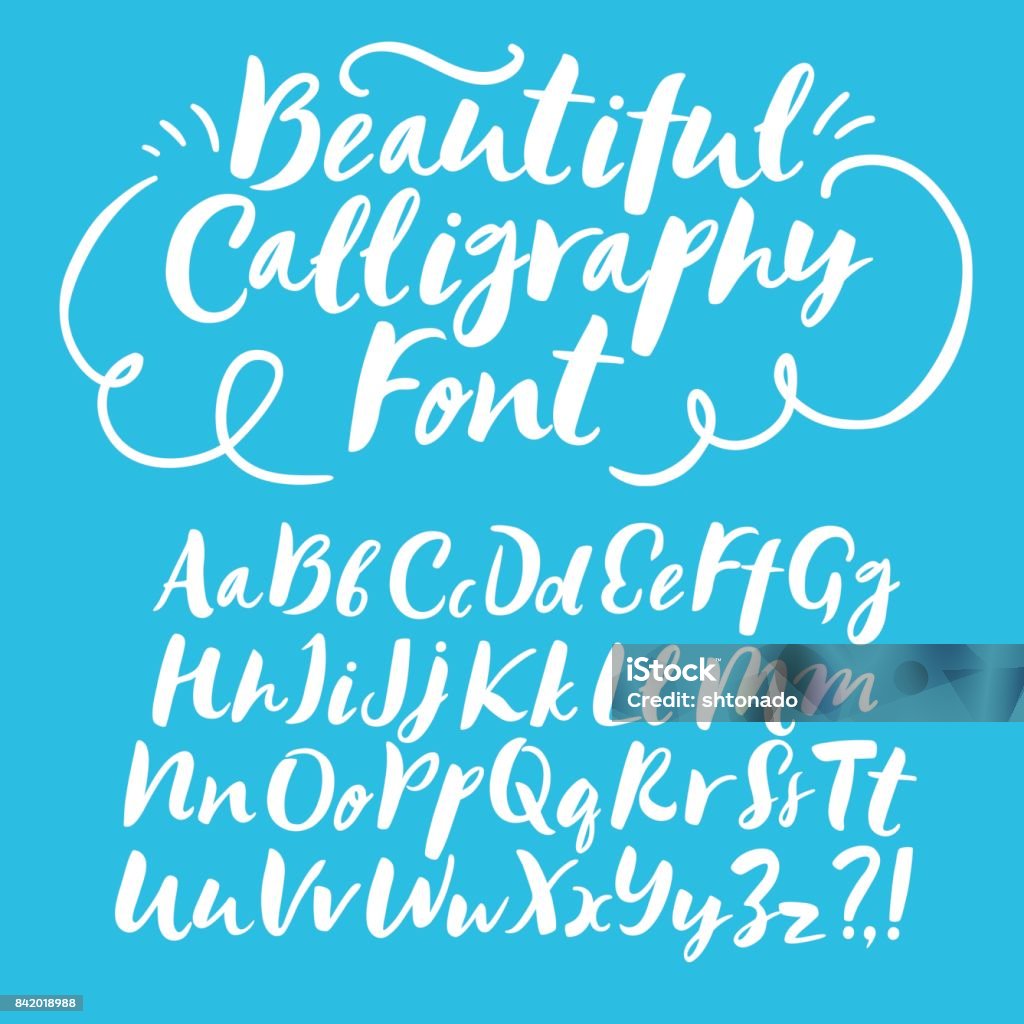 Brush hand drawn vector font Hand drawn brush ink vector ABC upper and lower case letters set. Beautiful calligraphy font for your design. Typescript stock vector
