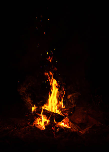 istock Fire burns at night in a tourist camp 842019248