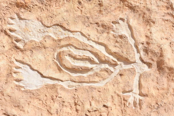istock Ancient frescoes in Timna 842019402
