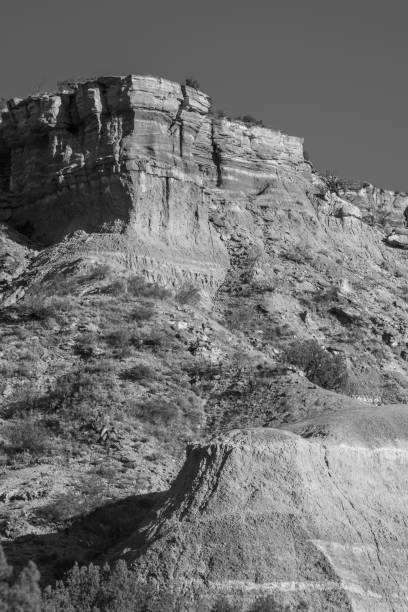istock Palo Duro Black and White 842019946