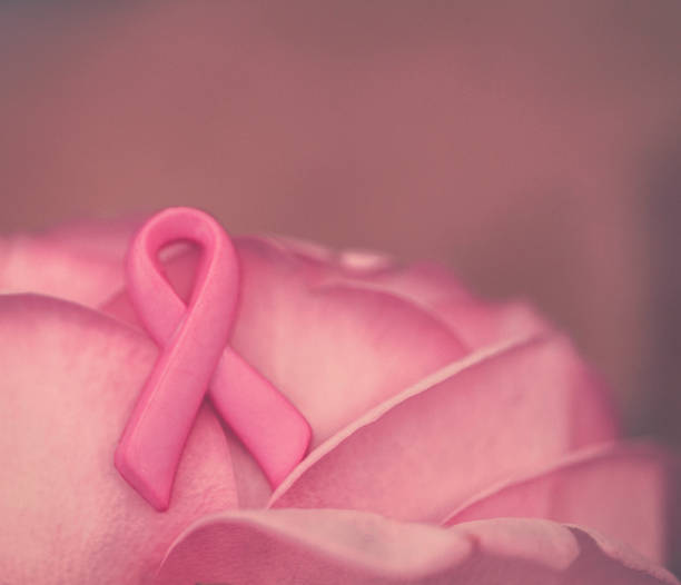 istock Delicate pink rose with Breast Cancer Awareness Ribbon 842041704