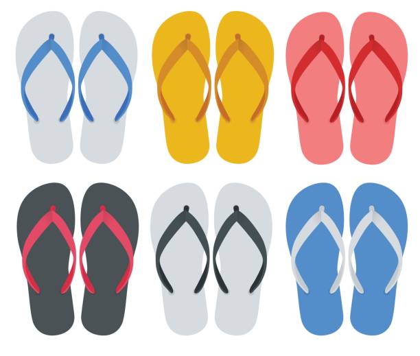 ilustrações de stock, clip art, desenhos animados e ícones de slippers set of female with multicolored slippers isolated on white background. slippers for infographics and design. - slipper beach backgrounds sea