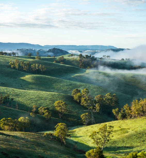istock Beautiful view near lake Lyell Lithgow 842046958