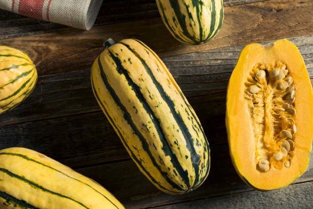 Raw Organic Delicata Squash Raw Organic Delicata Squash Ready to Cook With squash vegetable stock pictures, royalty-free photos & images