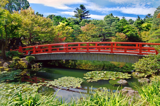 istock Wooden bridge in the autumn park 842076620