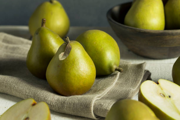 Raw Green Organic Seckel Pears Raw Green Organic Seckel Pears Ready to Eat bartlett pear stock pictures, royalty-free photos & images