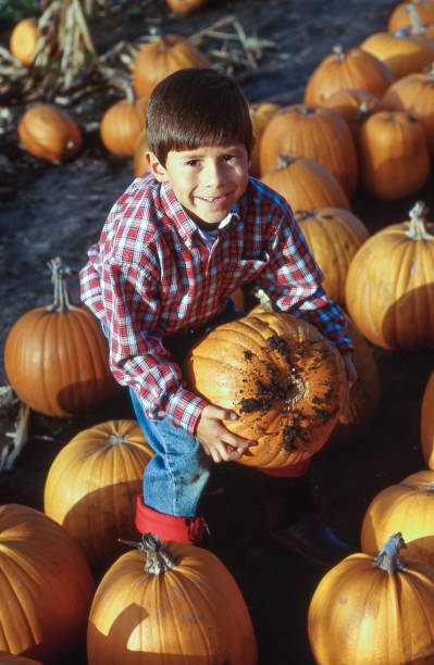istock Young Latino Boy at Pumpkin Farm 842086750