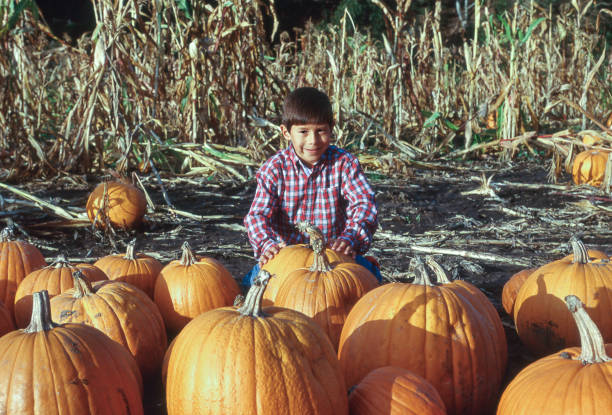 istock Young Latino Boy at Pumpkin Farm 842086930
