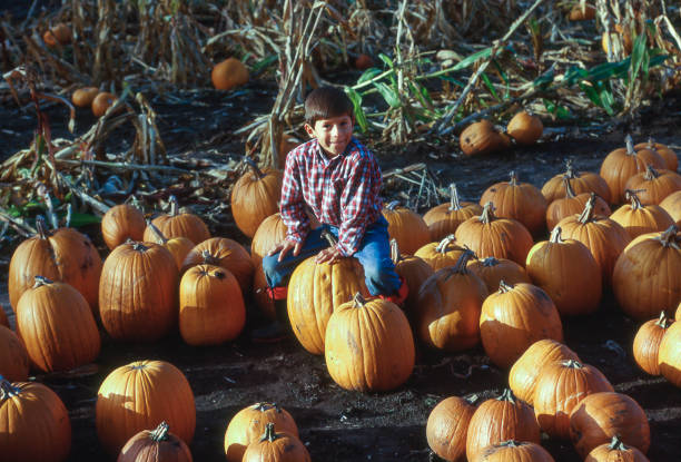 istock Young Latino Boy at Pumpkin Farm 842089100