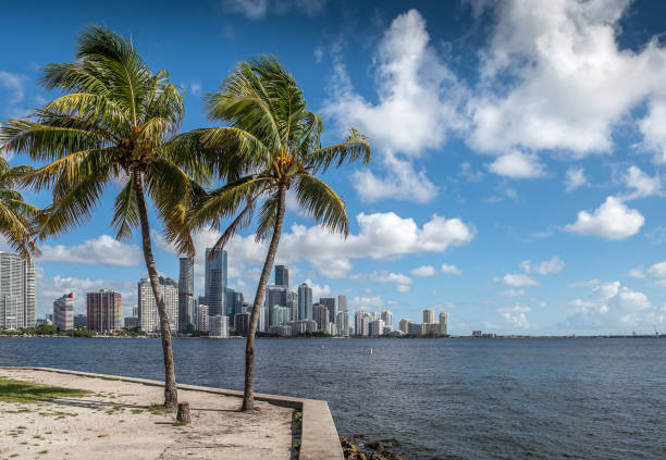 istock Updating Miami Skyline 842089118